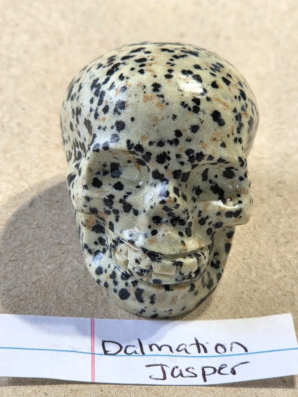 Detailed Dalmatian Jasper Crystal Carved Skull Stone Sculpture Decor